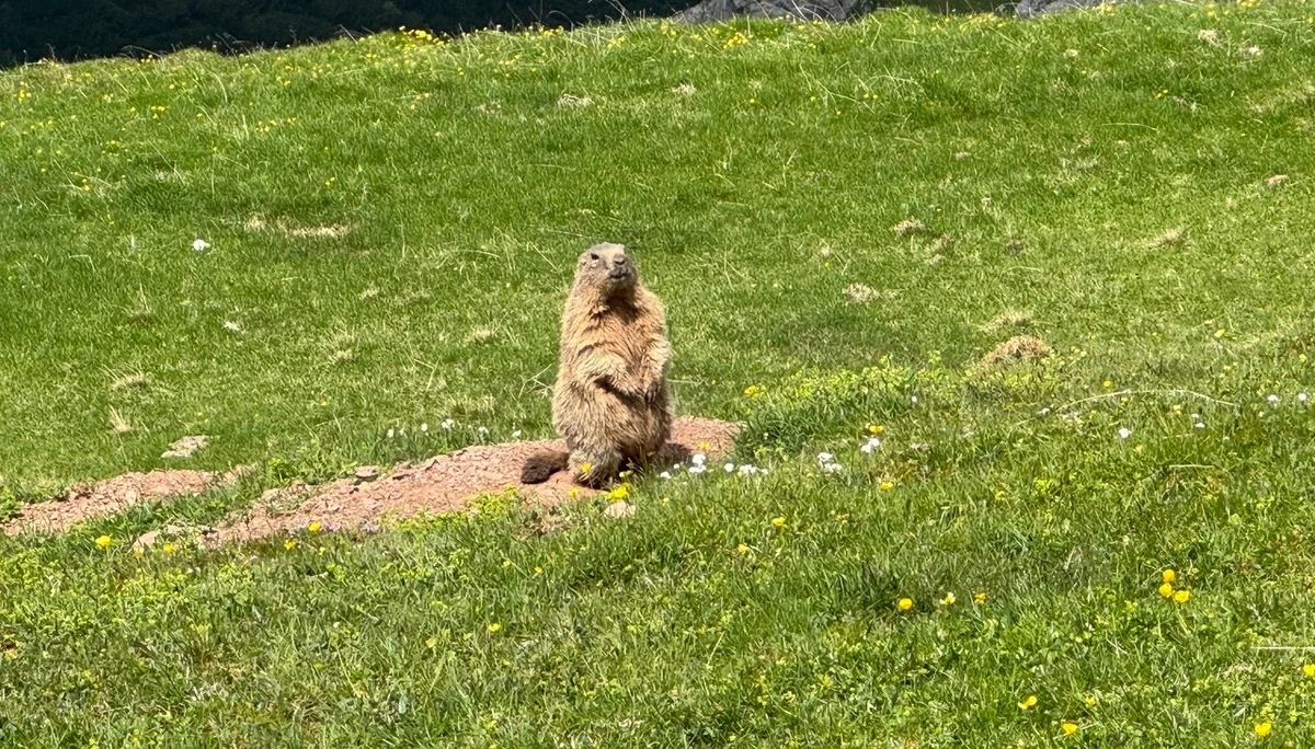 © DAV Sektion Mönchengladbach