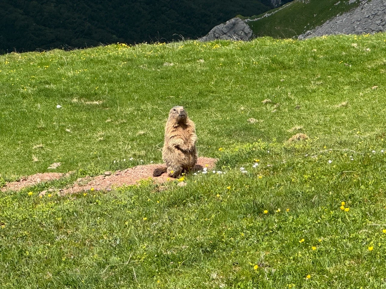 © DAV Sektion Mönchengladbach