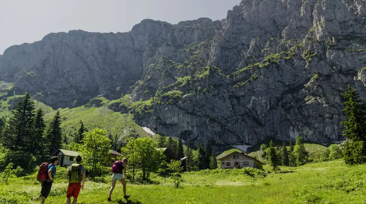 Drei Wanderer auf den grünen Berghängen der Chiemgauer Alpen | © DAV/Hans Herbig