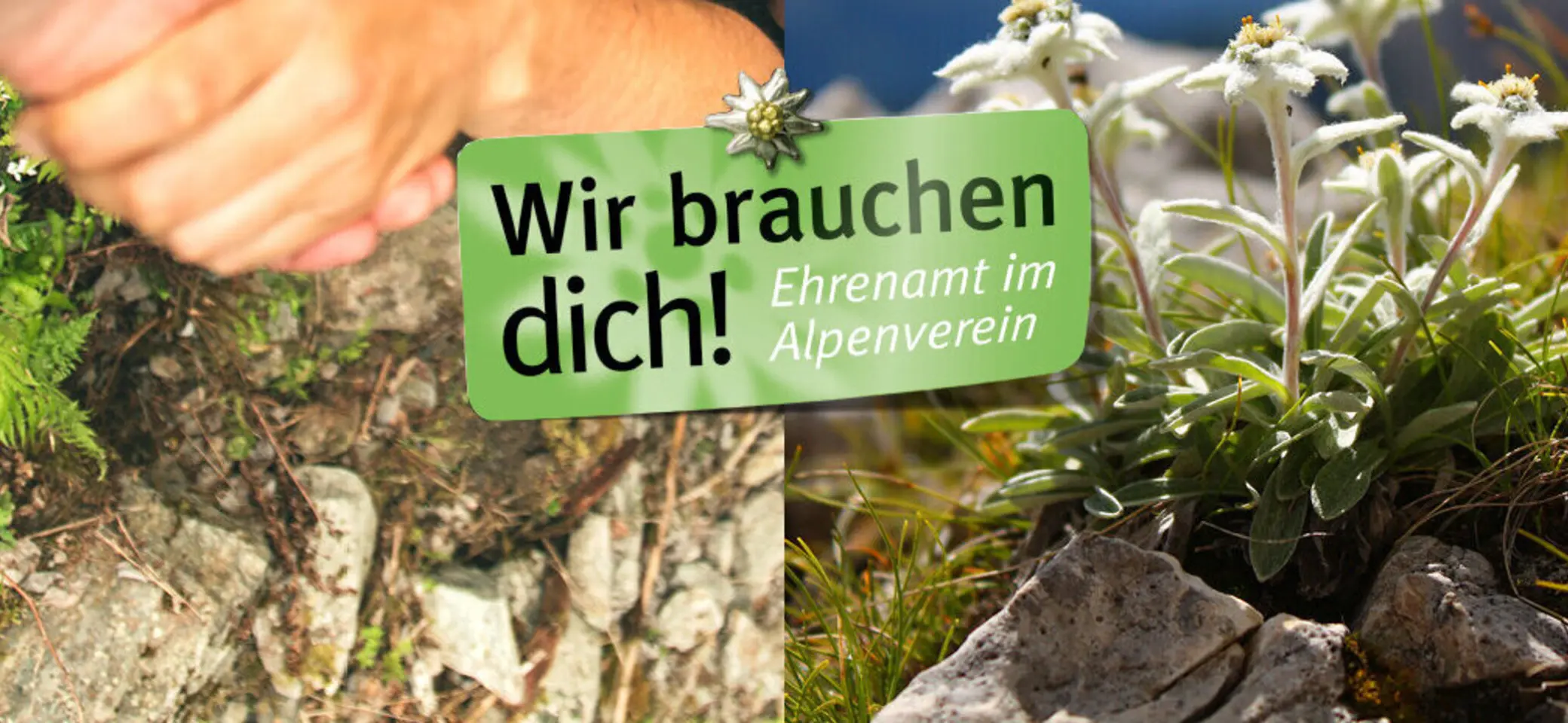 Bildmotiv "Ehrenamt: Wir brauchen Dich" - Imagefoto | © DAV